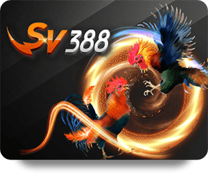 The Excitement of Live Sicbo Online: What to Know