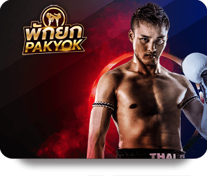 Strategies for Success: Mastering Online Casino Play